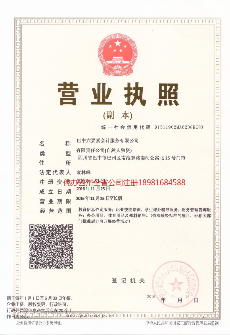 仪陇仪陇六要素会计服务有限公司